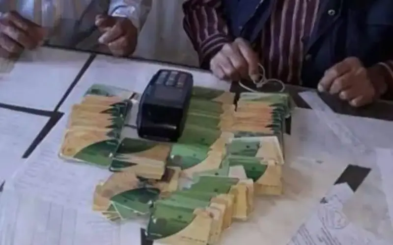 خطوات ضم الأسرة على بطاقة التموين للزوج وشروط إضافة المواليد 2026